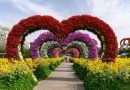 Dubai Miracle Garden to Close Season on May 31 with Farewell